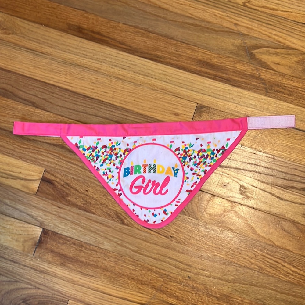 Birthday Girl Dogs Velcro Bandana - reversible- Large